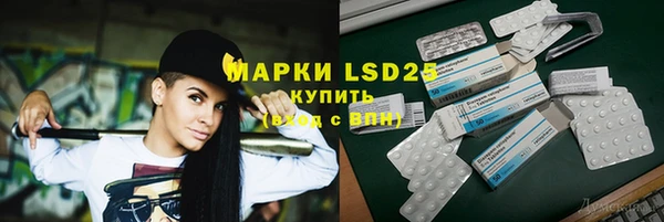 хмурый Алексин