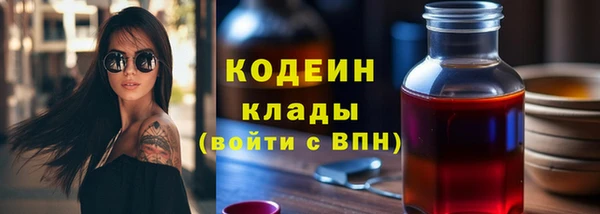 хмурый Алексин