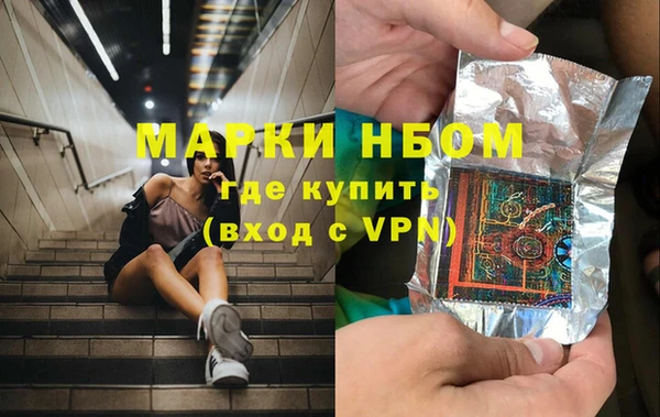 хмурый Алексин