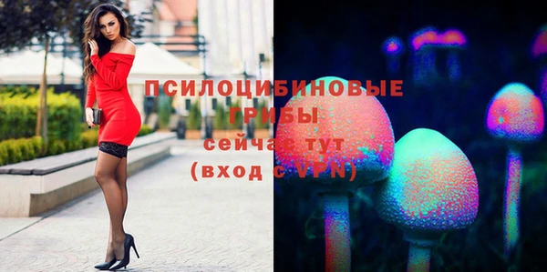 хмурый Алексин