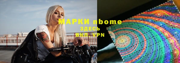 хмурый Алексин